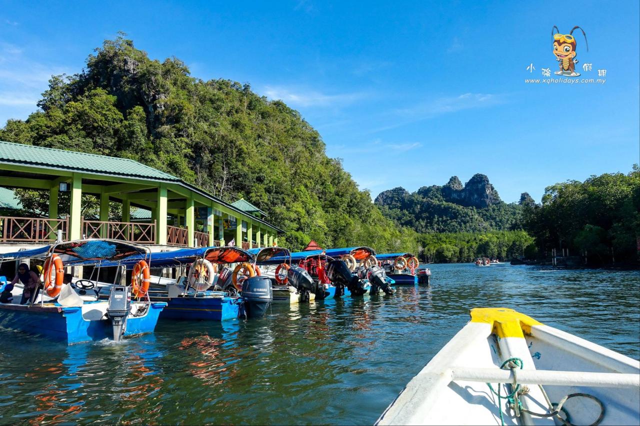 Jelajahi Mangrove Langkawi: Tur yang Mengagumkan untuk Alam dan Petualangan